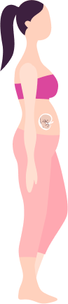 Pregnancy month 3