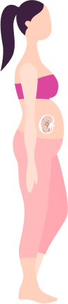 Pregnancy month 4
