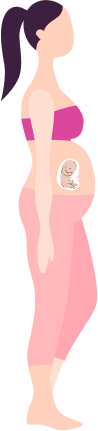 Pregnancy month 5