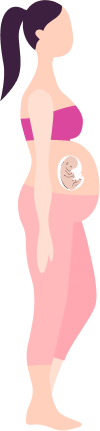 Pregnancy month 6