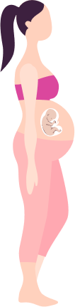 Pregnancy month 7