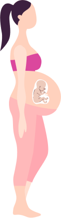Pregnancy month 8